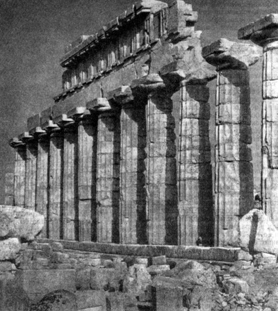 Архитектура Древней Греции. Селинунт. Храм С. Колоннада (восстановлена)