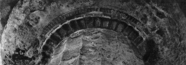 Архитектура Древней Греции. Посейдония. I храм Геры (Базилика), 540 г. до н.э. Капитель