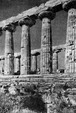 Архитектура Древней Греции. Посейдония. Храм Афины (Деметры), 520—510 гг. до н. э. Фрагмент колоннады