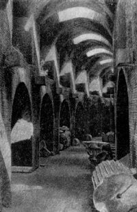 Архитектура Древнего Рима. Путеолы (Поццуоли). Амфитеатр, конец I в. н. э. Нижние коридоры