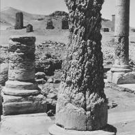 Пальмира. Часть портика в западном квартале города, I век