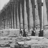 Пальмира. Часть Большой колоннады, вид с юга